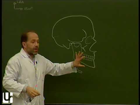 TC 1: Muscles de la tête, appareil manducateur [Clinical anatomy of the manducatory apparatus, TMJ]