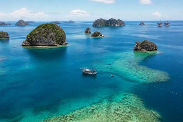 découvrez une étude de cas complète sur la mer de chine méridionale, explorant ses enjeux géopolitiques, économiques et environnementaux majeurs.
