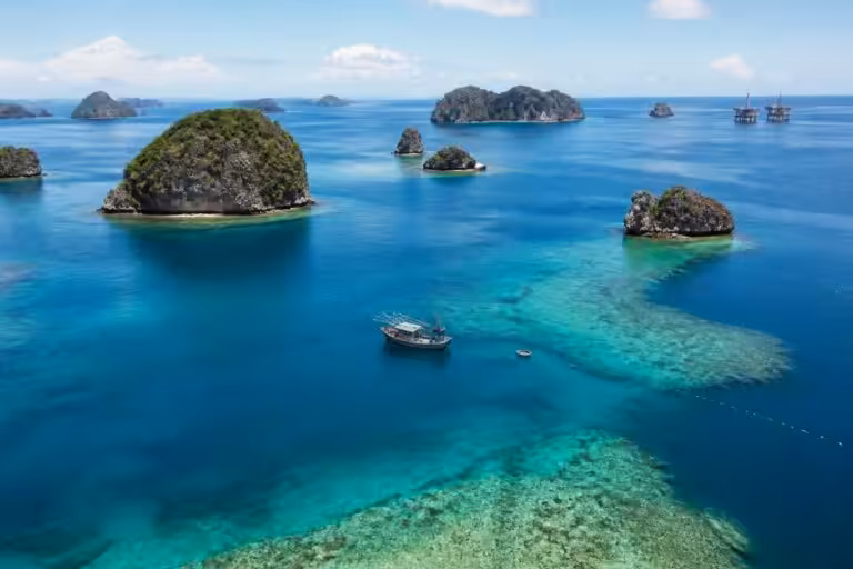 découvrez une étude de cas complète sur la mer de chine méridionale, explorant ses enjeux géopolitiques, économiques et environnementaux majeurs.